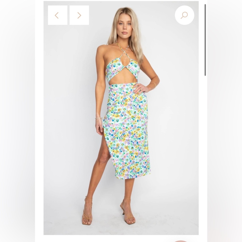 (NWT) RESA NIKKI DRESS IN MONET (small)